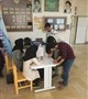 برگزاری انتخابات شورای مرکزی انجمن علمی سلول های بنیادی و پزشکی بازساختی